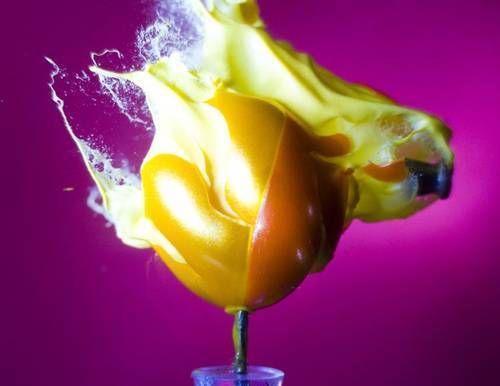 alansailer_explosion-de-colores-01 alansailer_explosion-de-colores-01
