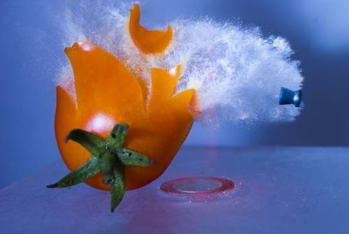 alansailer_explosion-de-un-tomate-02 alansailer_explosion-de-un-tomate-02