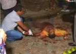 crimen