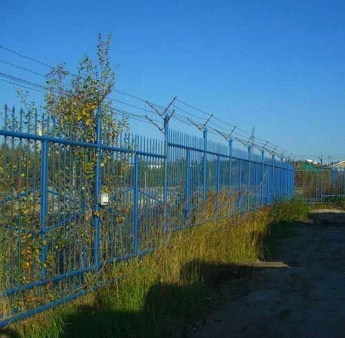fencevsass1