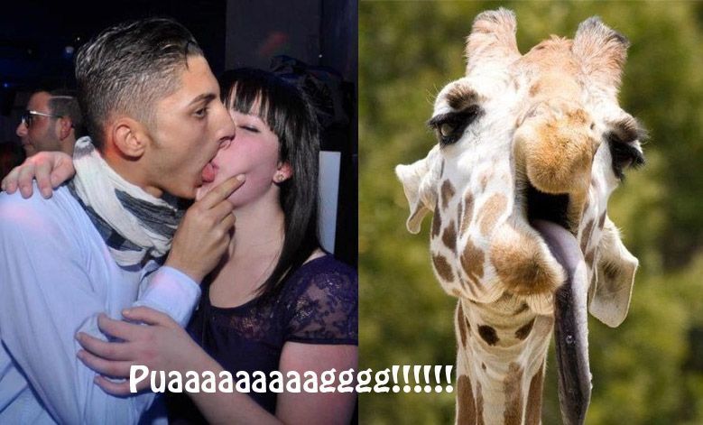 El beso de la jirafa