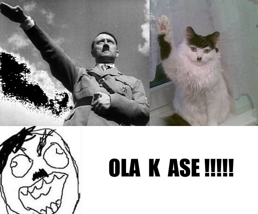 El gato nazi