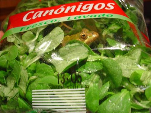 Las ensaladas de Florette
