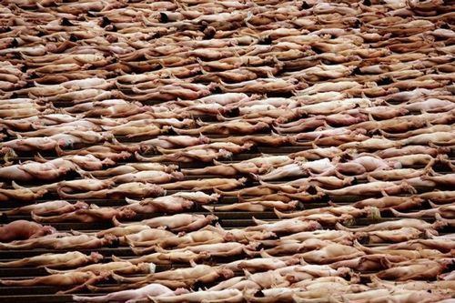 Spencer_Tunick_Sydney_07 Spencer_Tunick_Sydney_07