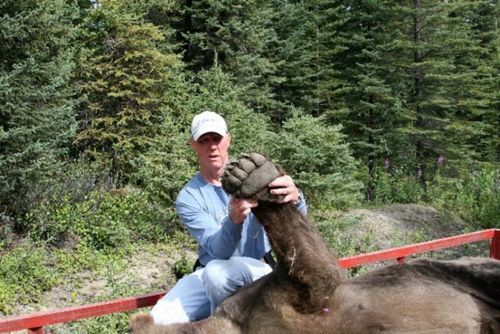 big_fucking_bear_05 big_fucking_bear_05