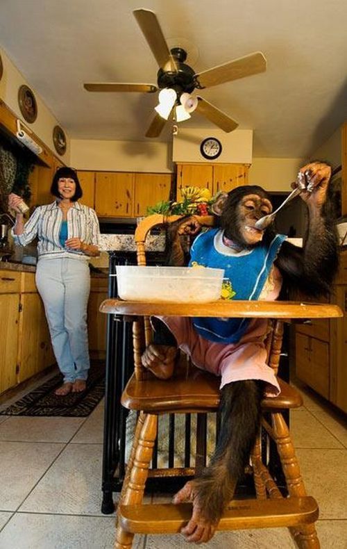 most_unusual_pets_02 most_unusual_pets_02