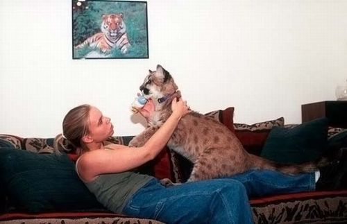 most_unusual_pets_04 most_unusual_pets_04