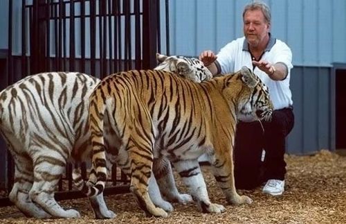 most_unusual_pets_05 most_unusual_pets_05