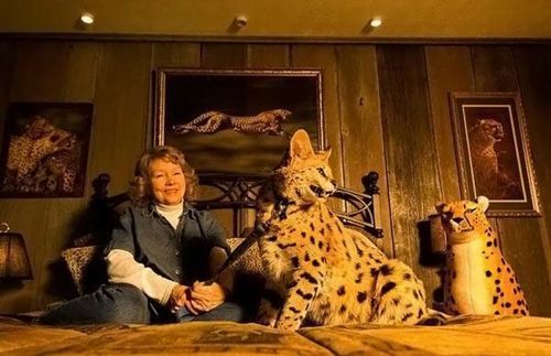 most_unusual_pets_11 most_unusual_pets_11