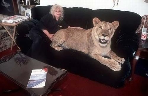most_unusual_pets_12 most_unusual_pets_12