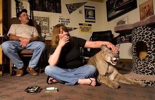 most_unusual_pets_14 most_unusual_pets_14
