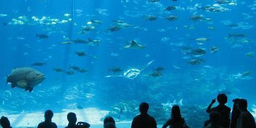 El acuario más grande del mundo
