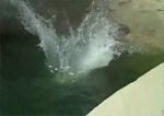 Ostión contra el agua