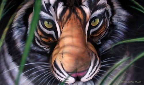 3 SEDERI PER UNA TIGRE 3 SEDERI PER UNA TIGRE